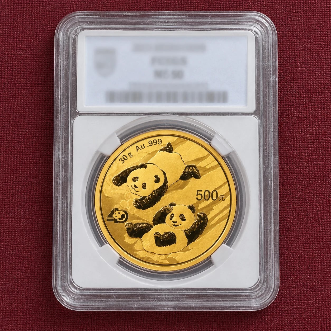 A complete 30g Chinese Gold Panda coin with a two-panda design in a professional grading holder