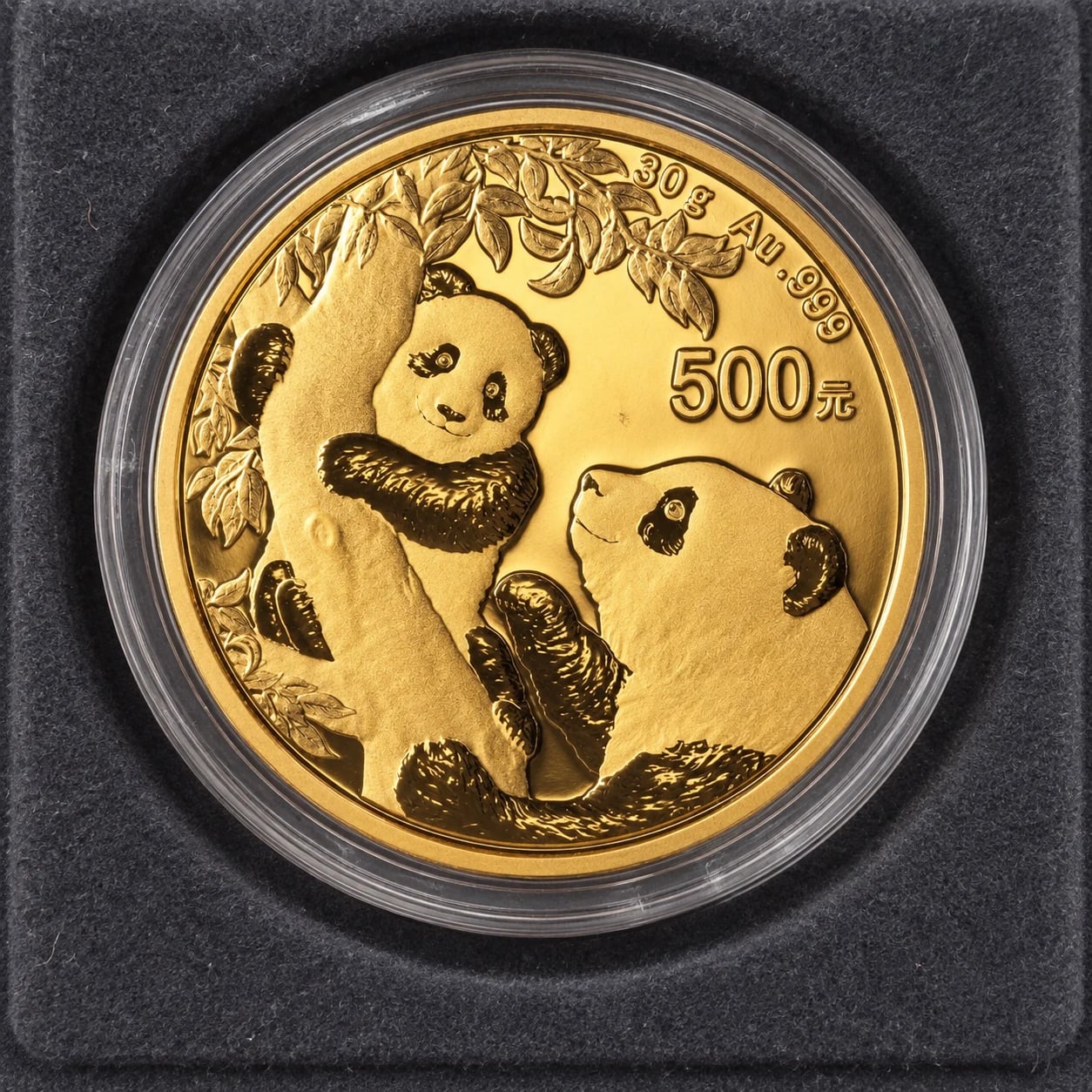 A complete 30g Chinese Gold Panda coin with a parent-and-cub design in a capsule and collector tray