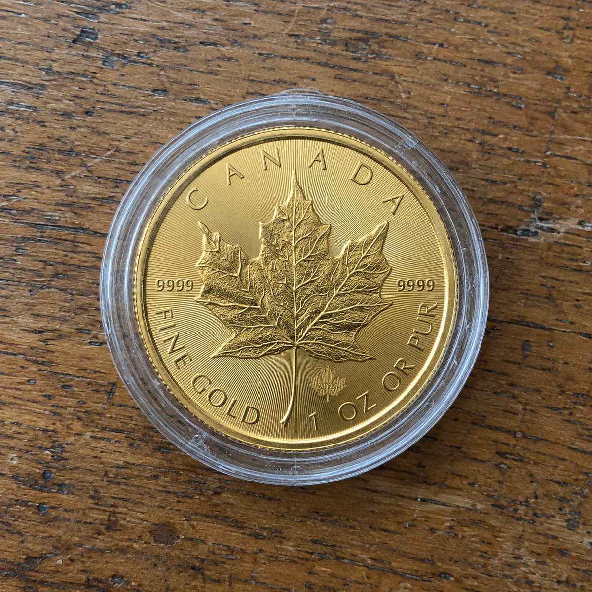 A complete 2024 one-ounce Canadian Gold Maple Leaf coin in a clear capsule on a worn oak table