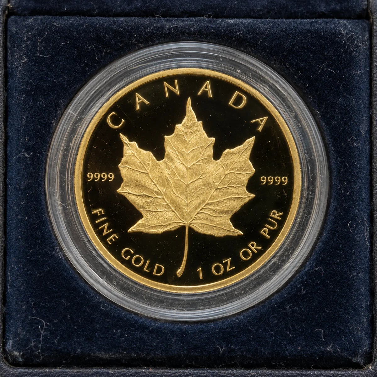A complete proof Canadian Gold Maple Leaf coin in a capsule and presentation box