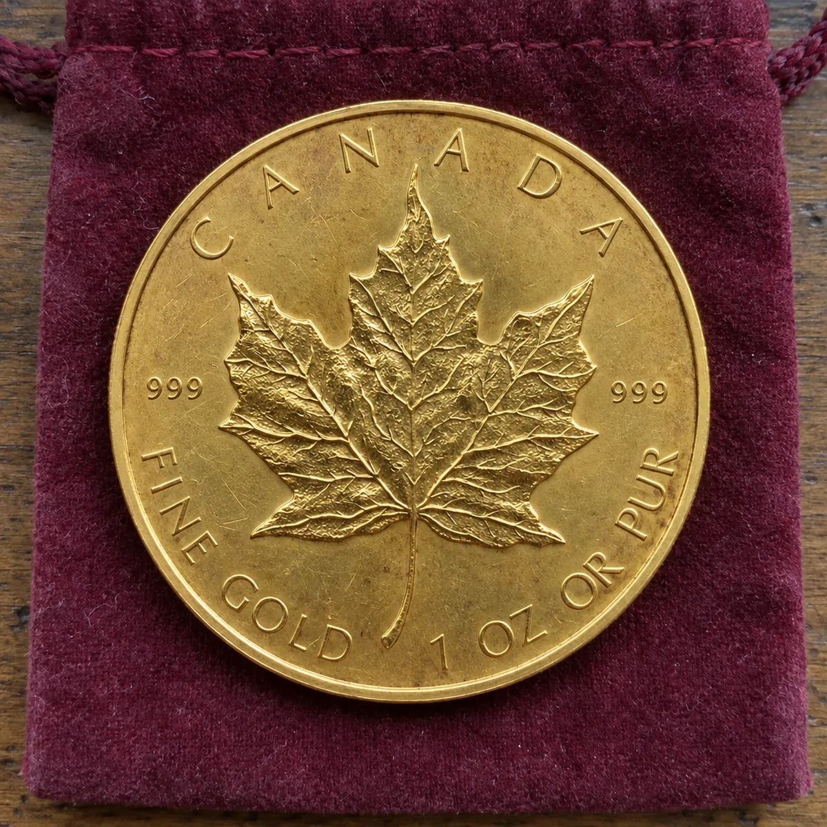 A complete early 1979 one-ounce Canadian Gold Maple Leaf coin on a worn pouch